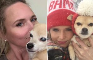 Миранда Ламберт прощается с любимой 15-летней собакой-спасателем, которая была «в каждом туре», который она совершала с 2010 года.