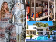 Внутри современного особняка Ларсы Пиппен во Флориде — рождественский выпуск