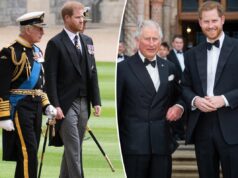 У принца Гарри есть план, который может навсегда положить конец королевскому разладу с королем Чарльзом: отчет