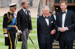 У принца Гарри есть план, который может навсегда положить конец королевскому разладу с королем Чарльзом: отчет