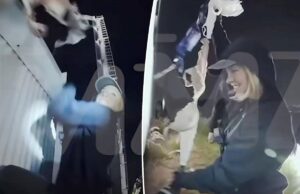 Сидни Суини залезла на вывеску Голливуда, чтобы повесить бюстгальтеры, в шокирующем видео